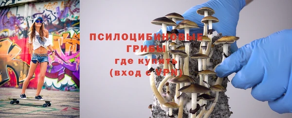 мет Армянск