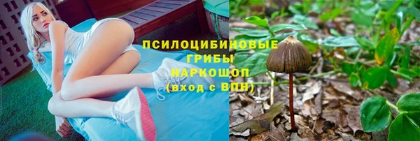 таблы Арсеньев