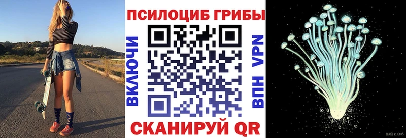 сколько стоит  blacksprut онион  Псилоцибиновые грибы прущие грибы  Рославль 